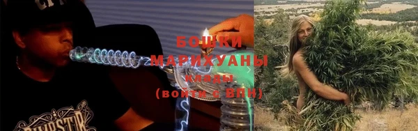 дживик Пестово