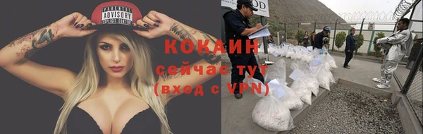 дживик Пестово