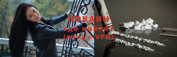 дживик Пестово