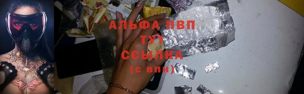 дживик Пестово