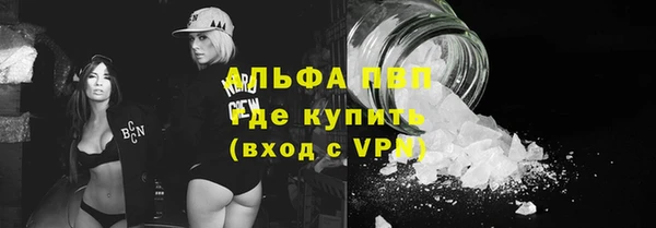дживик Пестово
