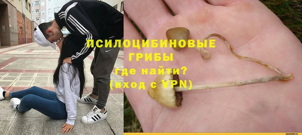 героин Пересвет
